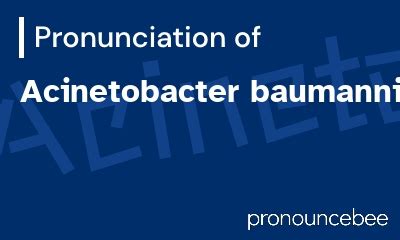 acinetobacter pronunciation|How To Pronounce Acinetobacter: Acinetobacter pronunciation.